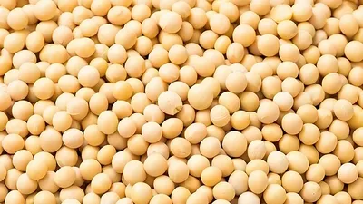 صناعة الأغذية